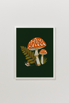 Green Mushroom Art