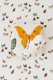 Butterfly Essential Bundle