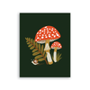 Mushroom Art Bundle