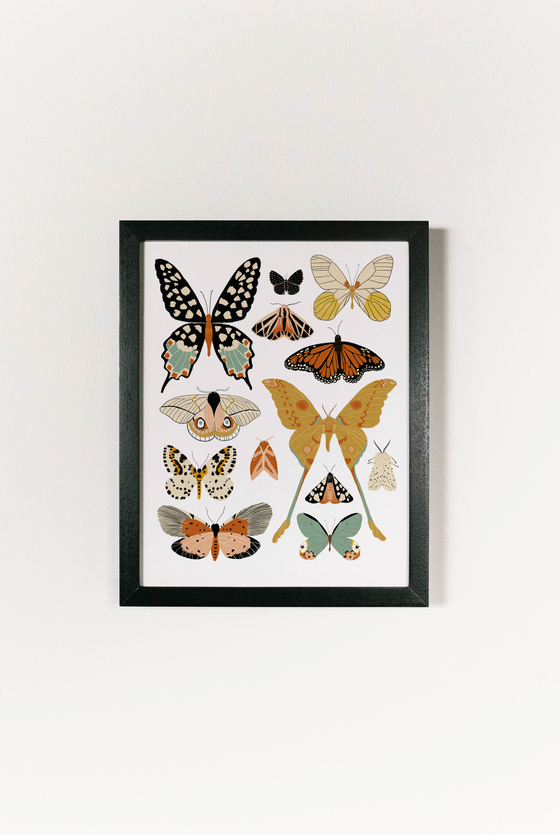 Butterfly Collector Art