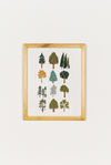Forest Trees Art