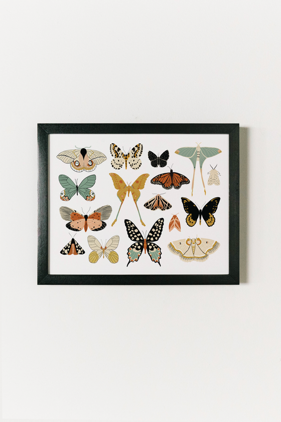 Butterfly Collector Art