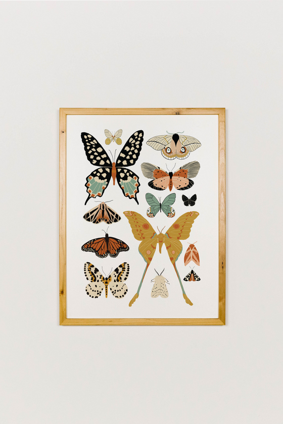 Butterfly Collector Art