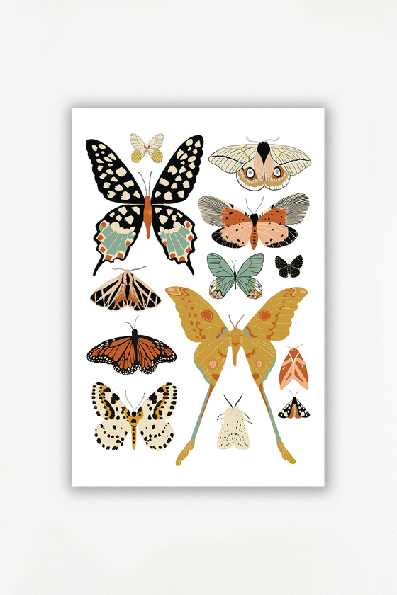 Butterfly Collector Art