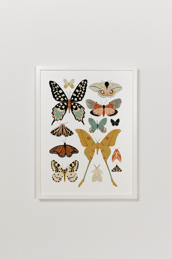 Butterfly Collector Art