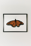 Monarch Butterfly Art
