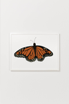 Monarch Butterfly Art