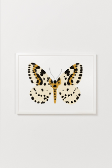 Yellow Butterfly Art