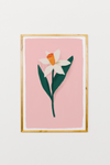 Daffodil Art