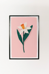 Daffodil Art