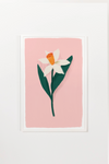 Daffodil Art