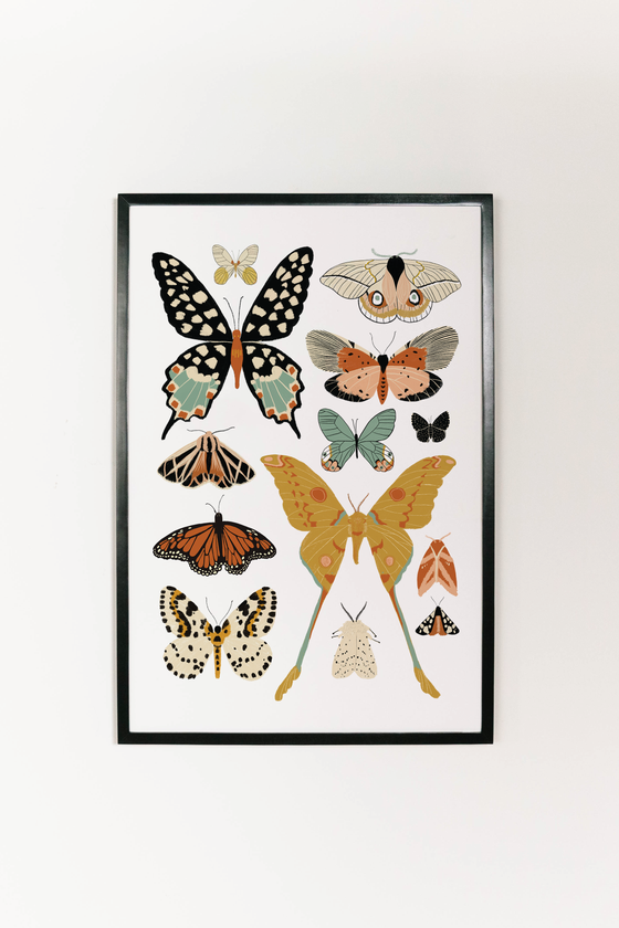 Butterfly Collector Art