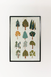 Forest Trees Art