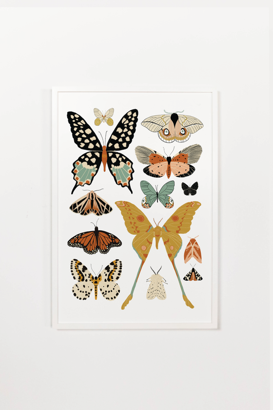 Butterfly Collector Art