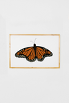 Monarch Butterfly Art