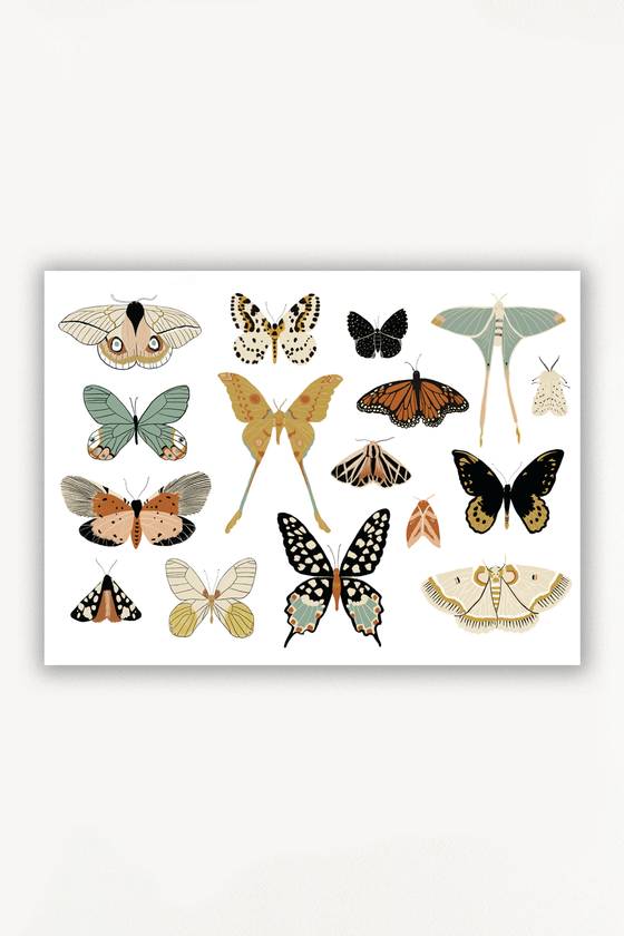 Butterfly Collector Art