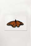 Monarch Butterfly Art