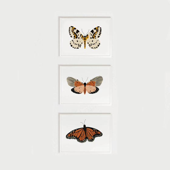 Butterfly Art Bundle