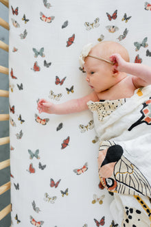  Butterfly Mini Bundle